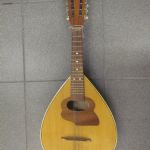 666 2361 Mandolin